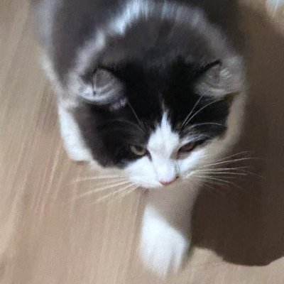 🥄 MEME Cook | 💻 Frontend Developer | 🏆 ETH Hackathon | 💎 Inv @wagmi_vc