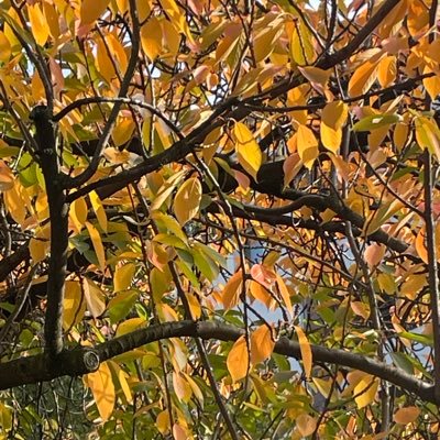 schier7_1's profile picture. 