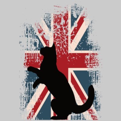 #ReformUK. Retired teacher & mother. Proud Brit, Christian. The UK is broken. No to Net Zero. Cat lover #IStandwithIsrael 🇮🇱.No Direct Messages