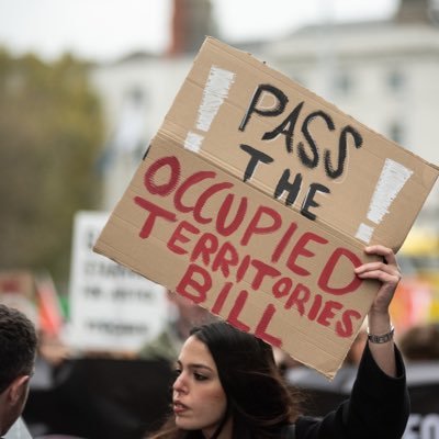 A Palestinian lawyer | Works w/ @trocaire | Mostly (re)tweets on Occupied Palestine/human rights/international justice| Prev @FrontLineHRD 🏳️🌈