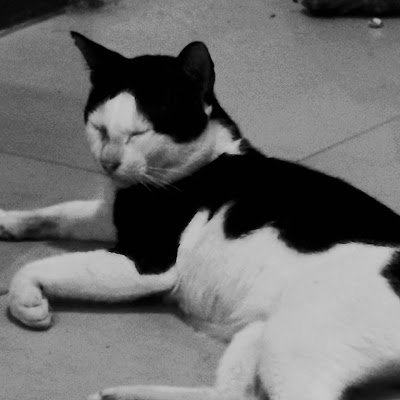 Kyan_n23's profile picture. 