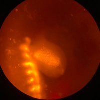 Gauthier Toulouse (@gauthier_tls) 's Twitter Profile Photo Gauthier Toulouse (@gauthier_tls) 's Twitter Profile Photo