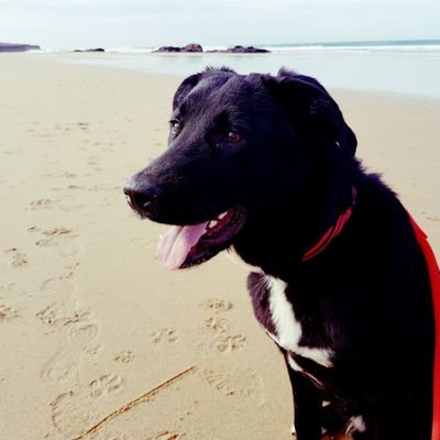 JaimeMCC's profile picture. 