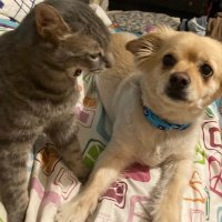 promisefrancis (@promisefra73548) 's Twitter Profile