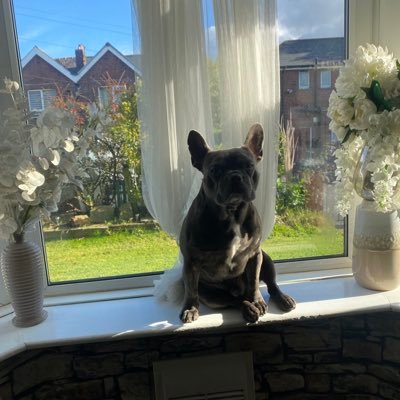 mine an Ralph’s ,pic above , views are our own