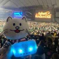 seikoーマート🦈@BOC✩✩✩✩*˚ (@boc20) 's Twitter Profile
