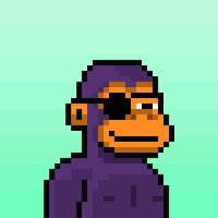 The Bear Pope (@popethe3043) 's Twitter Profile