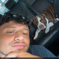jacobo (@____jacob_) 's Twitter Profile
