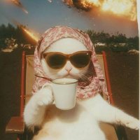 Norketamina (@giorosemary) 's Twitter Profile Photo Norketamina (@giorosemary) 's Twitter Profile Photo