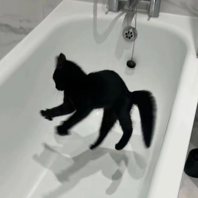 dead accさんのプロフィール画像