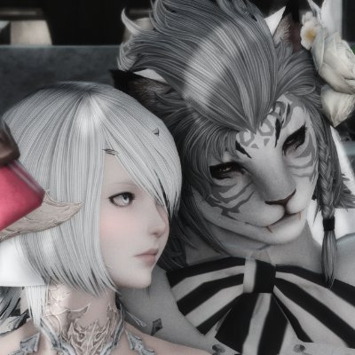 Dnal_FF's profile picture. 게롱