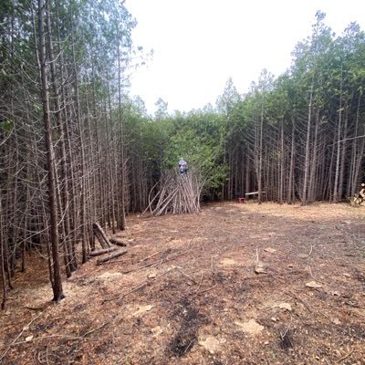 richard0237's profile picture. Husband, Father, Fire graduate, arbiter