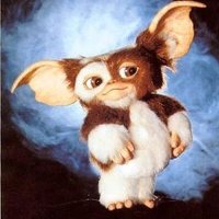 Gizmo (@tintinpoker) 's Twitter Profile Photo Gizmo (@tintinpoker) 's Twitter Profile Photo
