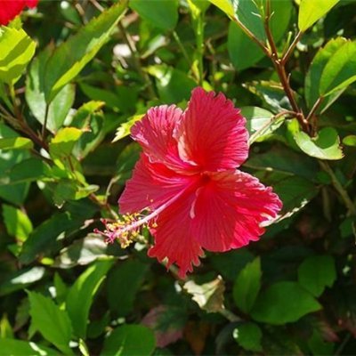 asumi2643029898's profile picture. お金の悩み解決術やおトク情報など発信中。自分自身お金に苦労したのでお金に困っている方を助けたいと思い、僅かですが10万円プレゼント企画を実施中♫ 詳しくはこちら→ https://t.co/P3wiWJei9X