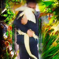 ๐NATURALEZA๐ฝEDICIรN๐REPTILES๐ฆ๐๐ฆ๐ฒ๐ตโ๏ธ๐ดแแแ ๐ (@editing3699art) 's Twitter Profile