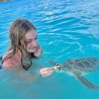 Turtle Lovers (@turtle__lovers) 's Twitter Profile