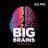 Big Brains Podcast
