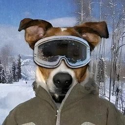 Existed as a CTO, relaunched on Clanker to follow the $SKI meta! Telegram: https://t.co/qIJxWAuM0P