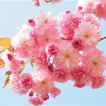 副業で安定した収入を得る方法を紹介中。副業初心者に役立つ情報を提供。少額ですが現金給付企画もしています♫ 支援中→ https://t.co/r3w4nsBk2t