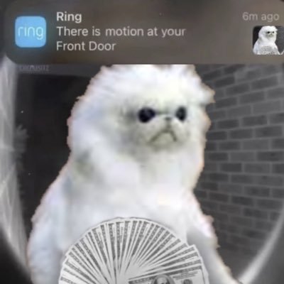 Sonny6759065491's profile picture. 