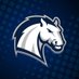 Hillsdale College Chargers (@hcchargers) Twitter profile photo Hillsdale College Chargers (@hcchargers) Twitter profile photo