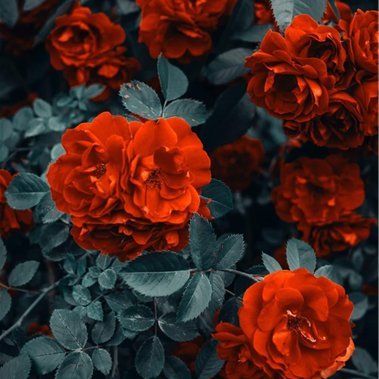 chikako238583's profile picture. 副業の成功法を発信中。副業初心者に役立つ情報を発信。小規模ですがお金配り企画も実施しております♬ 支援中▶ https://t.co/IFjB9KIbpX