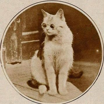 99onhisback's profile picture. Mysterious composer and lyricist. Old Stock Canadian 🍁