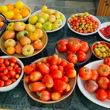 MaryKatyKitchen's profile picture. I got spammed and bad things on here     ... Sad  this happened   -- trying to clean this up       
 Still in area after Vern Passed away