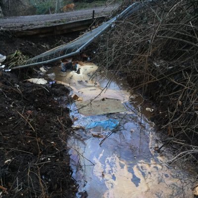 Russell ChalkStreamsInCrisis 🦇🦎🦇🦎 Profile
