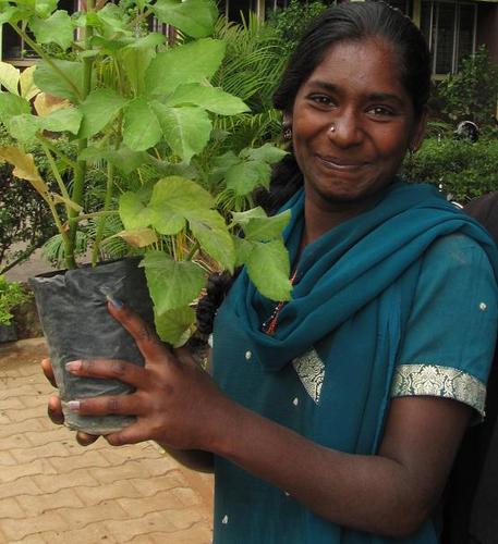 women_in_india's profile picture. March 2 2012: Just landing! My interest is emancipation and progress of women in India. Follow me to know more!