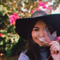 P. (@paounder) 's Twitter Profile
