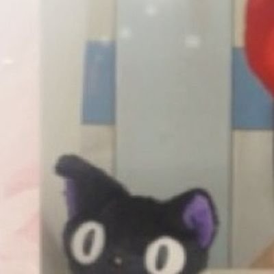 ねこほ ﾟ ん ด้้้さんのプロフィール画像