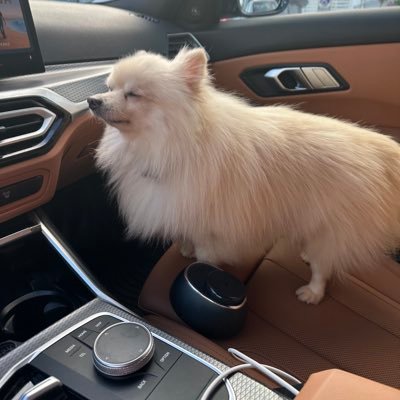 FernandoRabeloH's profile picture. Abogado, académico, agronegocios, ex Director Jurídico Gobierno ex Abogado General y ex Director de la DACSyH de la UJAT. Doctor Honoris Causa, CEO en Grupo RP