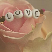 akiko285526's profile picture. 副業の成功法を紹介中。副業を始めたい人に役立つ情報をお届け。ほんの僅かですが現金給付企画もしております！ 期間限定➡ https://t.co/IIxKVINxW7