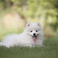 副業で収入を増やすコツを共有中。副業を始めてみたい人にお得な情報を提供。わずかですがプレゼント企画も実施しております♬ フォロワーさん優先⇒ https://t.co/wpsxPweVSA