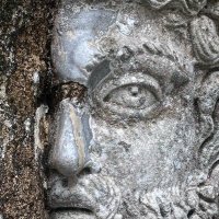 Dominic DiMare (@dominicdimare) 's Twitter Profile Photo Dominic DiMare (@dominicdimare) 's Twitter Profile Photo