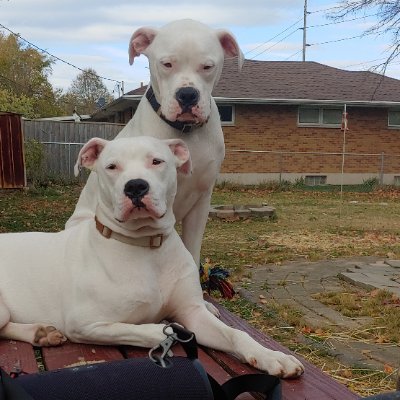 KennethLaw12341's profile picture. 