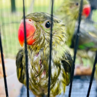 WakirKhan41587's profile picture. INDIAN ARMY