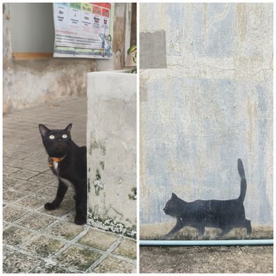 imokang162067's profile picture. 🐱มีลูกสาว 2 คน #srchafreen #beckysangels #ฟรีนเบค #freenbecky