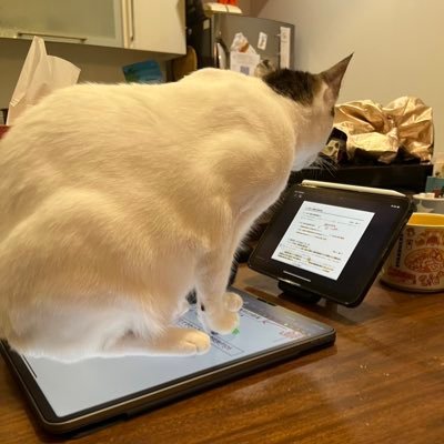 社会人 (某企業のFP&A)→ 専念。25年5月短答8月論文目標 。なぜかフィリピンで勉強してます