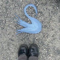 Roseblood (@howttf) 's Twitter Profile