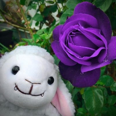 ✰ Jenno Marie ✰さんのプロフィール画像