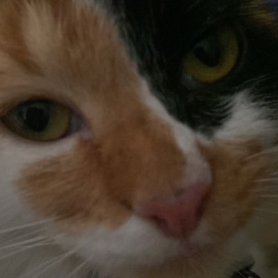 langittskyy's profile picture. danoi