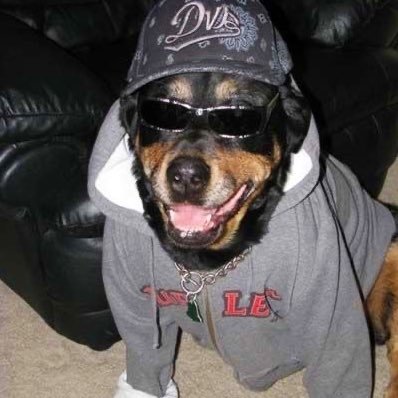 ForinIV's profile picture. 