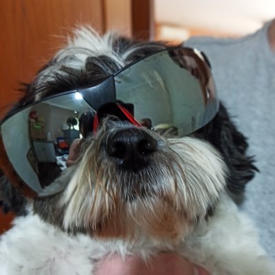 lkzfps__'s profile picture. 17 l Professional CS2 for @MIBR AC
https://t.co/XsCVuJ2wrG