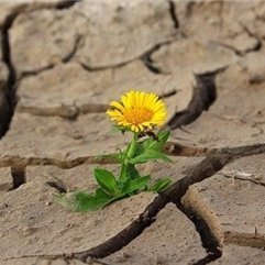 収入アップの秘訣やおトク情報などお伝えしたりしています。自分がお金に苦労した経験からお金に苦しんでいる人を救いたいと思い、僅かですが現金給付企画を始めました♪ 期間限定→ https://t.co/EjB64FTxmS