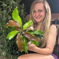 Highly Ganjanous (@highlyganjanous) Twitter profile photo