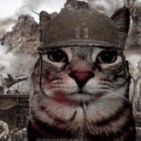 Germantampopopopo 🍥 (@germancitotampo) 's Twitter Profile