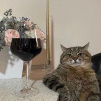CatGPTit (@catgptit) 's Twitter Profile