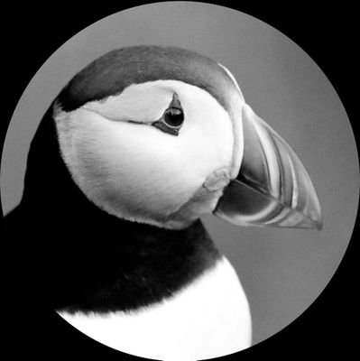 Birds of the World Profile